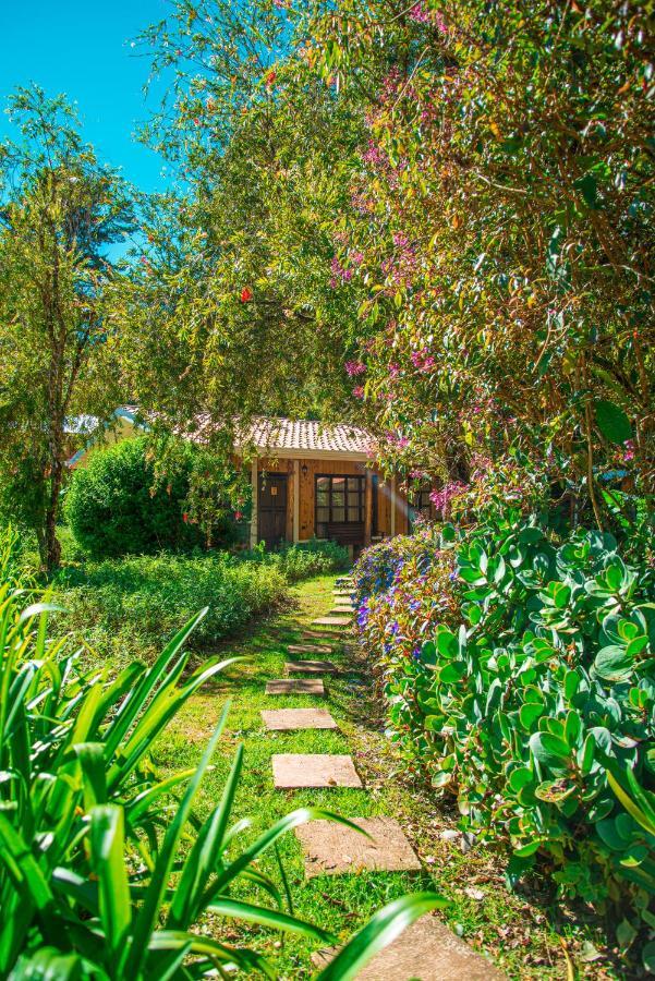 Hotel De Montana Suria San Gerardo de Dota Εξωτερικό φωτογραφία