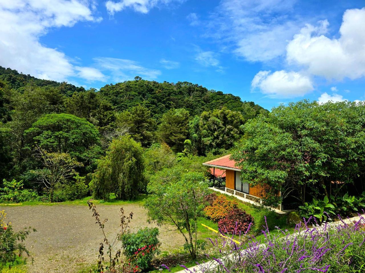 Hotel De Montana Suria San Gerardo de Dota Δωμάτιο φωτογραφία